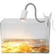 1 pc nouveau 220-240 V chauffage lumière Aquarium lampe de chaleur accessoire pour reptile lézard tortues (50 W)-0