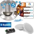 Kit 2 haut-parleurs coniques 5" / 80W - Grille et résistance à l'eau avec Amplificateur Google Home Bluetooth Amazon Alexa Echo-0
