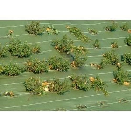 Bâche tas de bois coloris vert 1,50x6 m : Paillages potager NORTENE potager  et verger - botanic®