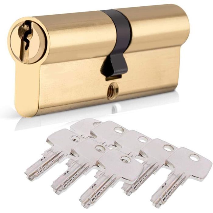 Cylindre de Serrure 40/40 (80mm) HOMEK Serrure à Doublé Cylindre Porte Cylindre Européen avec 8 Clés Finition en Laiton Serrure