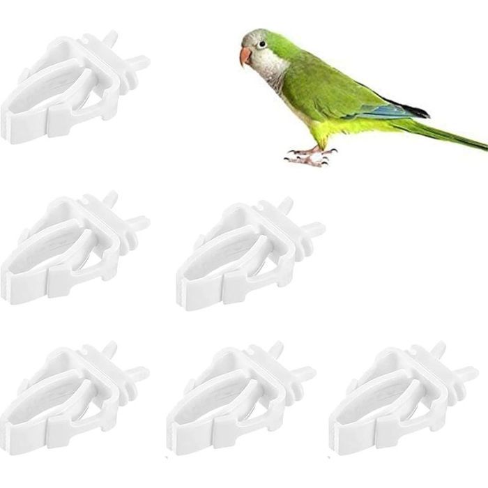Lot de 6 Mangeoires Plastique Clip Légumes Fruits Perroquets Perruches Cage