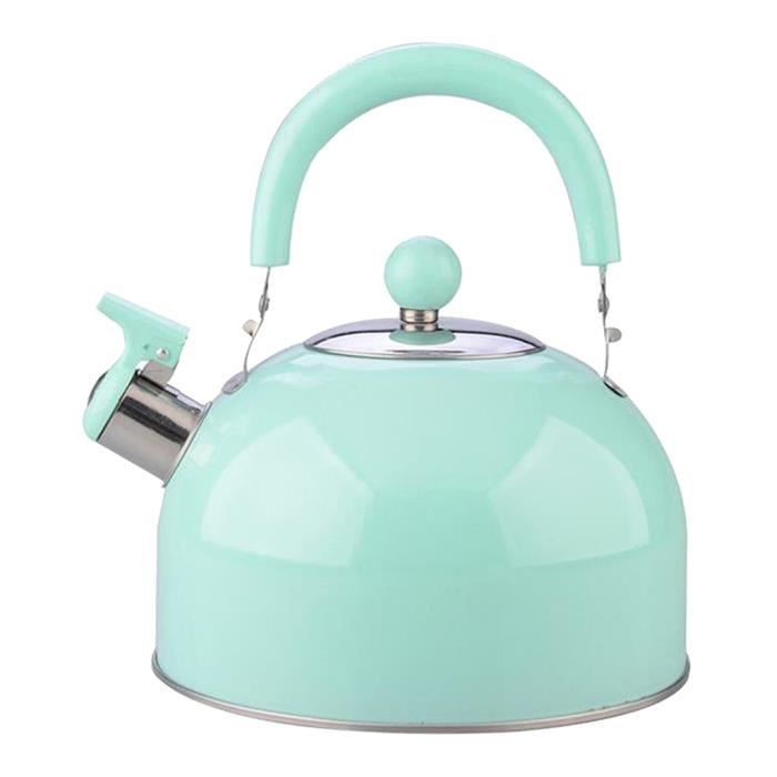 Bouilloire à Sifflet Inox 1,8 L - Pour Induction, Gaz, Camping | Design Vintage, Poignée Pliable, Silicone