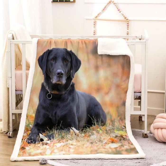 Couverture polaire hot sale pour chien