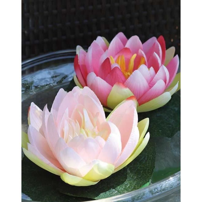 Nénufar Flottant Safina Pétales De Fleurs De Couleur Rose