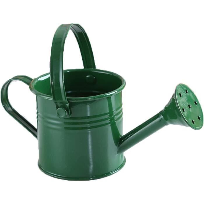 Pot De Fleur Arrosoir En Métal Jouets À L'Ancienne Arrosoir Pour