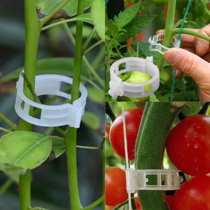 100 Pinces De Jardin Pour Plantes - Fixation Tiges, Grimpantes, Légumes - Réutilisables, Vertes, Petites