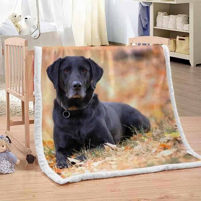 Couverture Polaire Epaisse Hiver Chien Pour Bebe Enfant 3D Chien