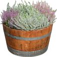 TEMESSO Demi tonneau de vin en bois de chêne - pot de fleurs ou mini étang - Huilé-0