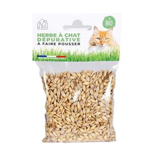 R&R SHOP - Kit Herbe à Chat Double Graines - Pot de Germination, 2 types d' herbe à Chat, Stimulante et Digestive, 4 Sachets de Graines et Substrat