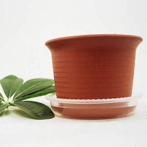 SOUCOUPE - PLATEAU LEX Soucoupes pour plantes transparentes 10 pièces