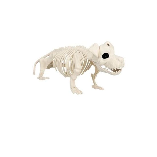 Squelette De Poisson Factice 24 Cm Avec Bouche Mobile - Décoration Halloween, Carnaval Et Fête à Thème