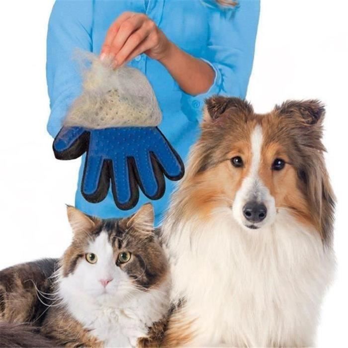 Gant doux et efficace Toilettage de chien brossage (1 paire)