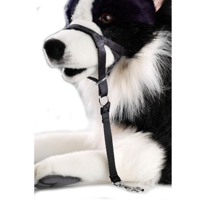 D&D Licol L - 42-56x7x41cm - Noir - Pour chien