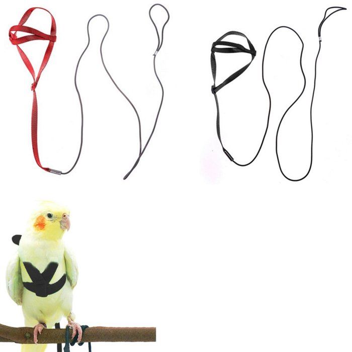 Harnais pour Oiseau avec Laisse Réglable et Résistant aux Morsures Taille S Noir et Rouge 2 Pièces