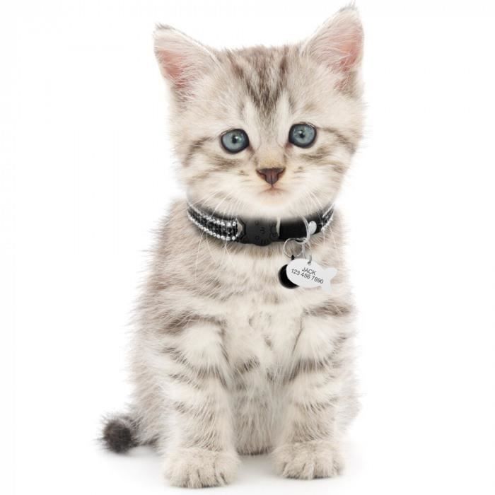 Version Noir Xs Collier De Nom Chat Chaton A Liberation Rapide Colliers Ecurite Pour Avec Cloche 18 Cdiscount