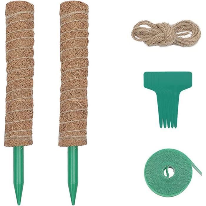 100 Tuteurs En Bambou 30cm Pour Plantes - Bâtons De Support Solides, Couleur Verte - Pour Tomates, Fleurs, Jardinage