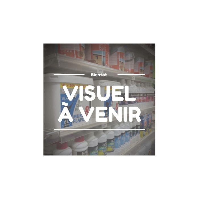 Peinture Intérieure Multi-supports Acrylique Satin Gris Souris 0,5