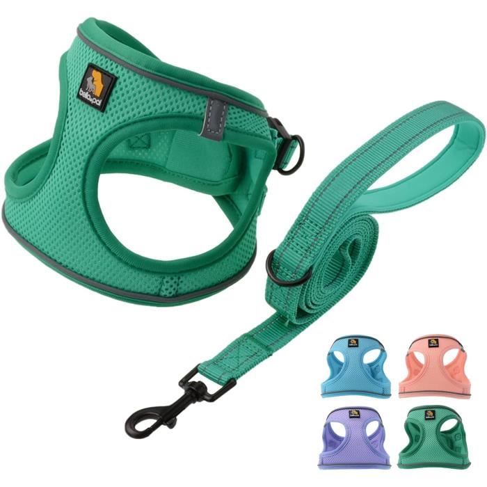 Harnais Pour Petit Chien Réfléchissant Avec Laisse - Design Step-In, Ajustable Et Respirant - Parfait Pour Promenades Et Entraînement - 2