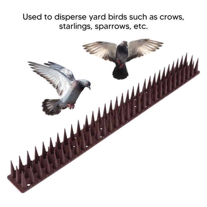 Lot de 12 Pics anti-pigeons – Répulsif contre les oiseaux avec pointes pour  balcon, clôtures et toit Haute Qualité