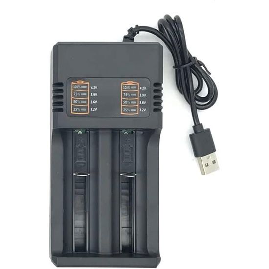 DOUBLE RAM : Cigarette electronique Vapotage Vape Chargeur express de 2000  mah model MS-5DP2 Batteries 18650,27 - Cdiscount Au quotidien