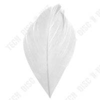 TD® 100 Plumes blanches 3cm x 6cm - Accessoires plumes de mariage faits à la main artisanat beau blanc