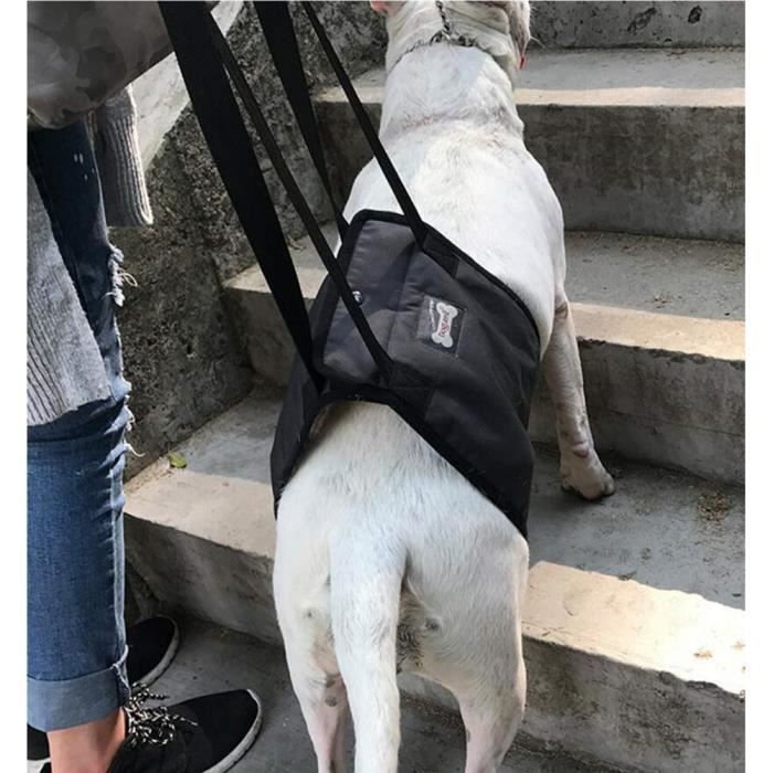 Ylen Support de Levage de Chien Harnais Soutien de Réadaptation Sling D'assistance pour Chiens Adulte Handicapés Blessés Aide à l