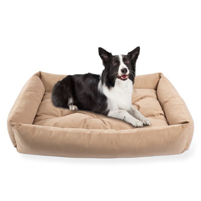 Comparer les prix de Lit pour Chien Panier Coussin Canapé M 95x75 cm Grande Taille Beige Velours Velvet PET ZEN Lavable