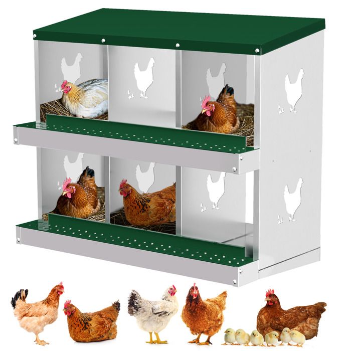 Pondoir Poules Pondeuses 6 Compartiments Poulailler en Acier Galvanisé Collecte des Œufs Couvercle Amovible PratiqueVert