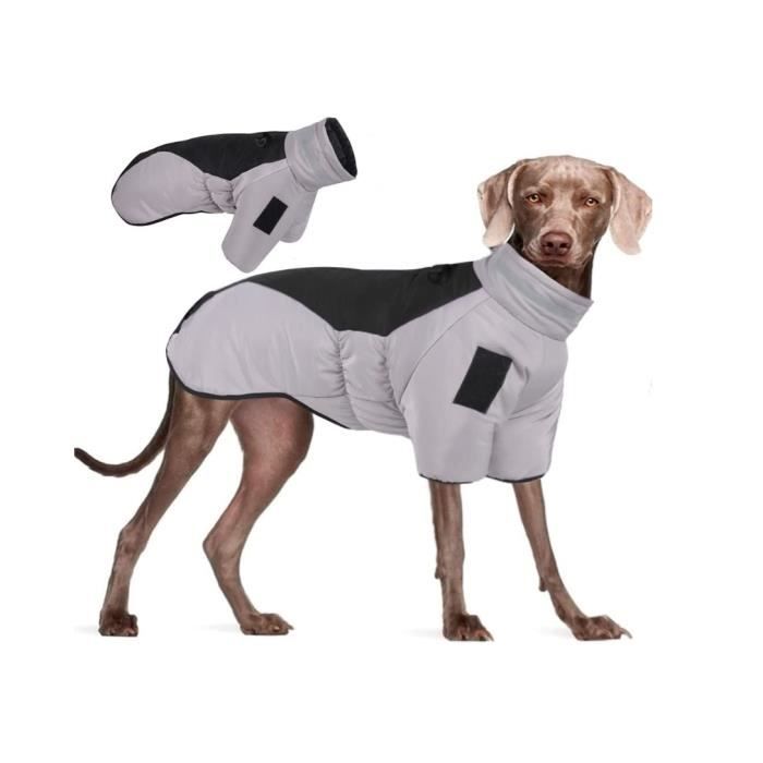 Manteau pour deals chien hiver