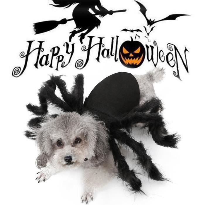 Tj Aile D Araignee Vetements Pour Chiots Chats Halloween Costumes De Chat Chat Cjj Sim Tjtsn0113a7299 Cdiscount Tj Aile D Araignee Vetements Pour Chiots Chats Halloween Costumes De Chat Chat Cjj Sim Tjtsn0113a7299 Cdiscount