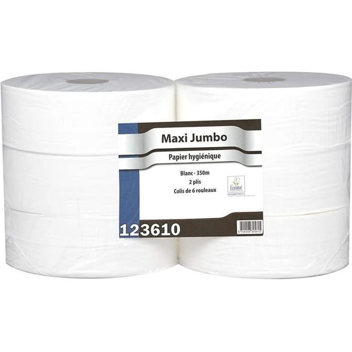 Papier toilette Maxi Jumbo - 6 Rouleaux de 350 m - 2 plis - Le Pro du  Médical - Cdiscount Au quotidien