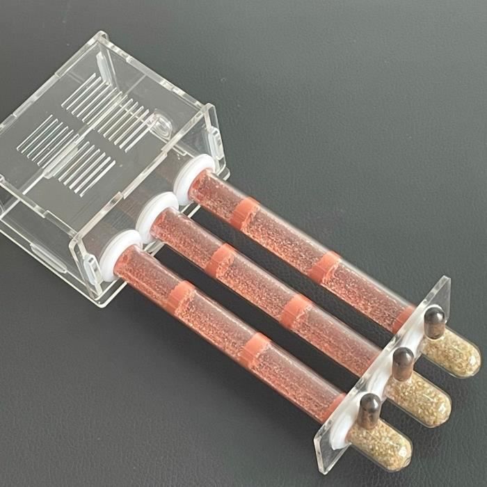 Fourmilière Nid Fourmis Tube De Plâtre Pour Fourmis Adultes, Ferme En Acrylique Transparent, Observation Du Comportement Des Fourmis, Étude Des Fourmis Vivantes Et De La Reine Fourmis Elevage