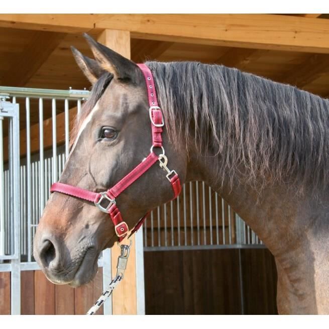 Licol cob 2 réglages Kerbl mustang - rouge/noir - Cob