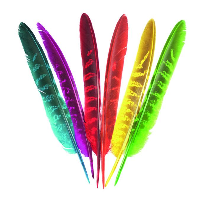 plumes indien pour bricolage enfant 18 a 19 5 cm 24 pieces megacrea diy multicolore assort cdiscount beaux arts et loisirs creatifs