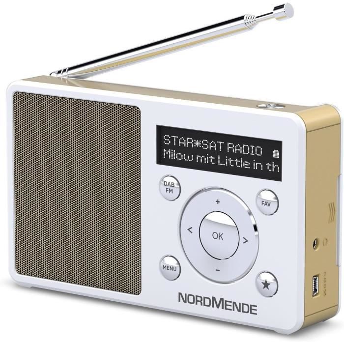 Nordmende Transita 100 Radio Dab Portable et puissante réception, Dab+ ...