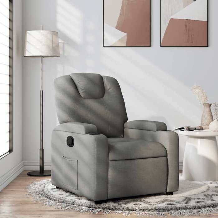 vidaXL Fauteuil Inclinable Chaise de Relaxation avec Dossier Siège avec Accoudoirs Rembourrés Salle de Séjour Moderne 372366
