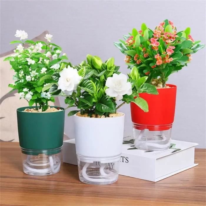 Vert - Pot de fleur en plastique transparent à double couche, Arrosoir  automatique, ULen coton, Petit pot de - Cdiscount Jardin