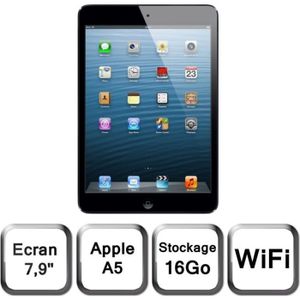 TABLETTE TACTILE Apple iPad mini Wi-Fi 16 Go noir & ardoise