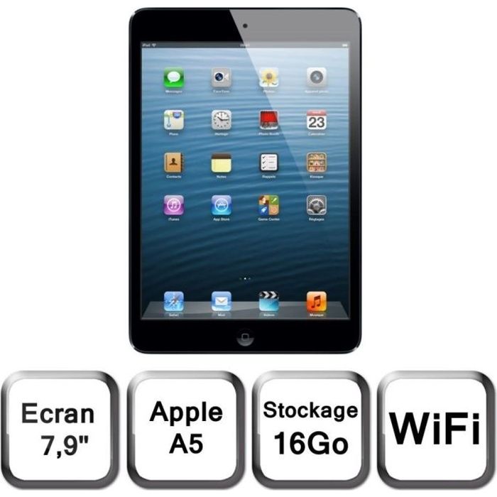 Apple iPad mini Wi-Fi 16 Go noir & ardoise