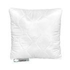 SuperKissen24 Oreillers en Microfibre 50x50 cm avec Garnissage Fibre Polyester - Hypoallergenique Oreillers Dodo