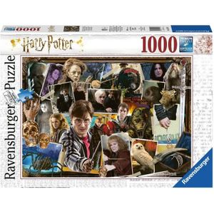 PUZZLE RAVENSBURGER Puzzle 1000 pièces - Harry Potter con