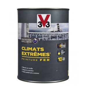 PEINTURE - VERNIS Peinture spéciale fer Climats Extrêmes® 250 ml Gri
