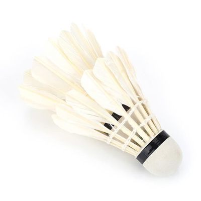 SALUTUYA Volants de badminton 12 Pcs/Lot plume blanche balles de Badminton  volants accessoires d'entraînement de Sports sport pour