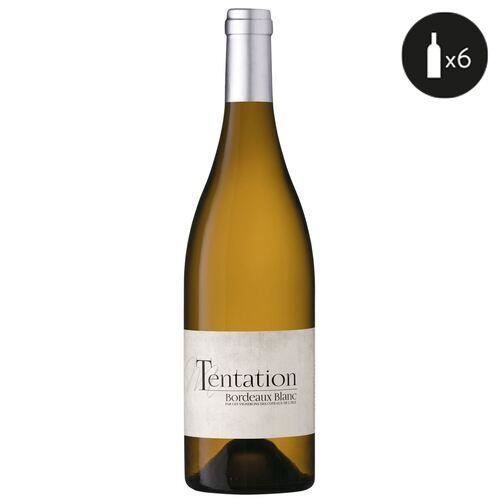 6 bouteilles - Vin blanc - Tranquille - Les Vignerons des Coteaux de l'Isle TENTATION Bordeaux Blanc 2019 6x75cl