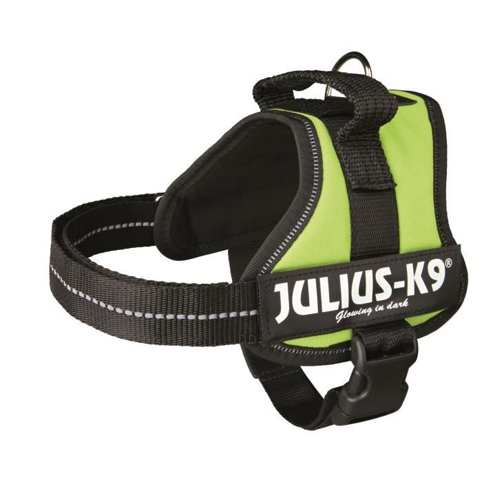Harnais Power Julius-K9 - Mini - M : 51-67 cm-28 mm - Vert pastel - Pour chien