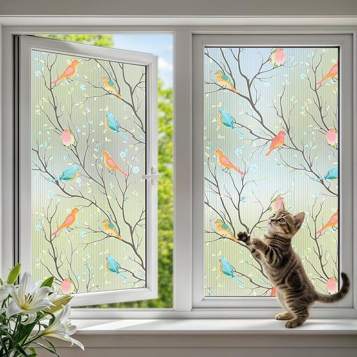 Film Fenetre Anti Regard avec Motif oiseau Brise Vue Fenetre Décoratif à Rayures Film Motif Doiseau Coloré 30*100CM