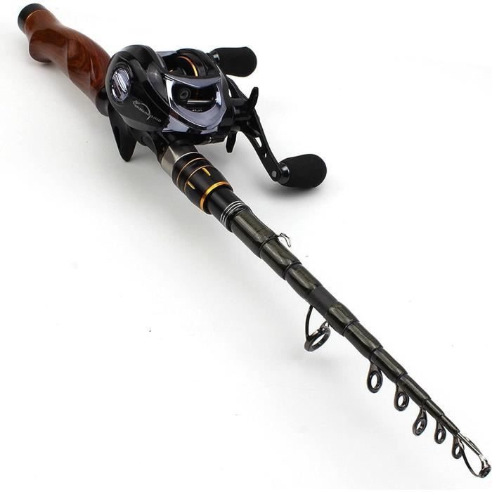 Canne à pêche télescopique professionnelle de 1,8 m à 2,7 m + de pêche en forme de