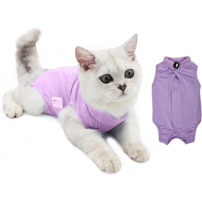 Gilet de Chirurgicale Vetements de Animaux Body Chat Post Operatoire Alternative au Collier Cone E pour Plaies Cdiscount