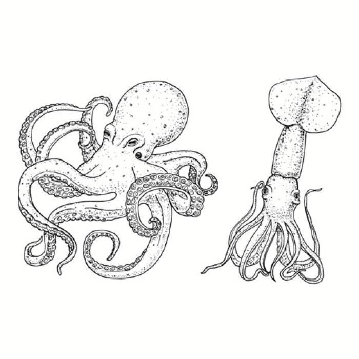 Tatouage Temporaire 7chaud 1pc Populaire Ballet Noir Blanc Fleurs S Autocollant Dessin Art Corporel Faux Transfert Eau Achat Vente Tatoo Bijou De Corps Tatouage Temporaire 7chaud Cdiscount