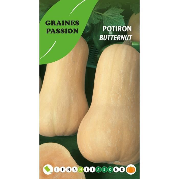 Graines passion , sachet de graines Potiron Butternut